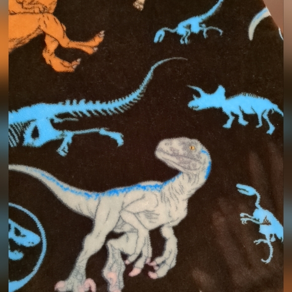 JURASSIC WORLD FLEECE THROW SUPER SOFT BLANKET UNIVERSAL STUDIOS DINOSAURS - Picture 5 of 7